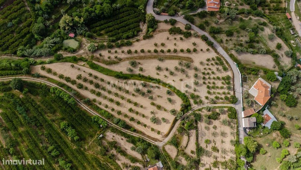 Terreno / Fundão, Fundão