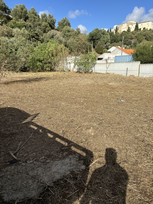 Limpeza e desmatação de terrenos na zona grande lisboa e margem sul