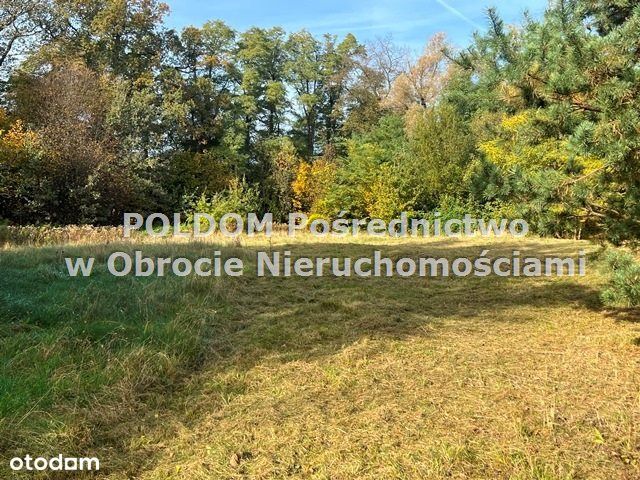Działka budowlana 5747 m²/ Wilczyn k. Obornik Śl - Widok 4