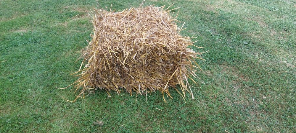 Słoma  w kostkach owsiana