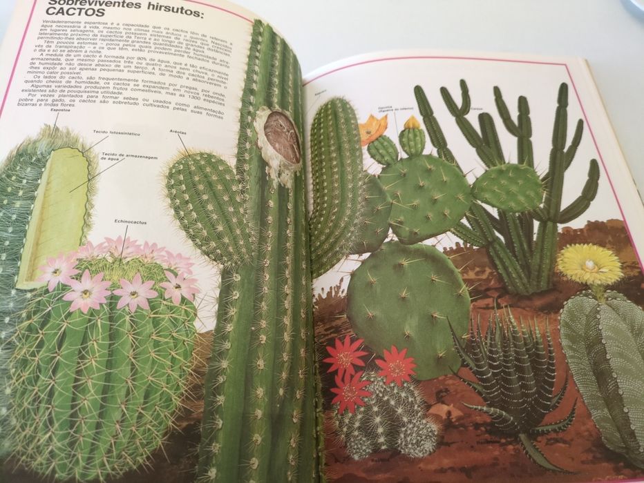 Maravilhas da Natureza de David Sharp