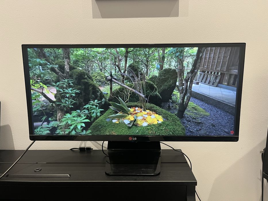 Monitor LG 29 cali ultrawide 29UM65