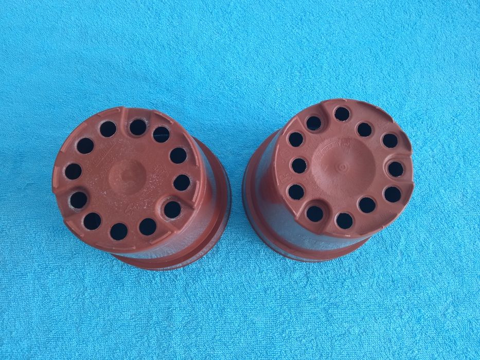 3 vasos para plantas de porte pequeno