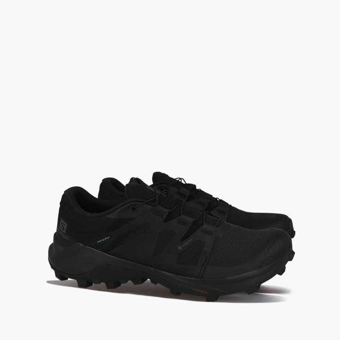 Мужские кроссовки Salomon Wildcross  GTX (410530)