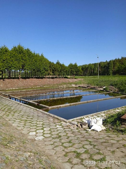 Agroturystyka, Gospodarstwo Rybackie, Pełen Cykl Produkcyjny i Pokłady Żwiru - View 5