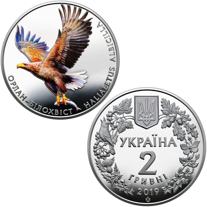 Орлан білохвіст.