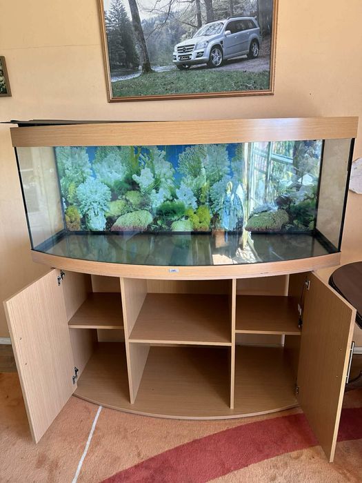 Панорамный аквариум с тумбой — готовый подводный мир у вас дома!