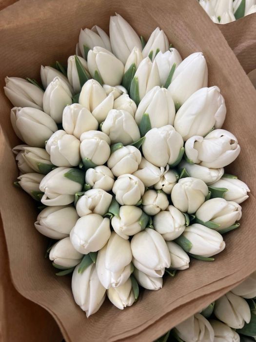 Тюльпани квіти до 8 березня тюльпаны