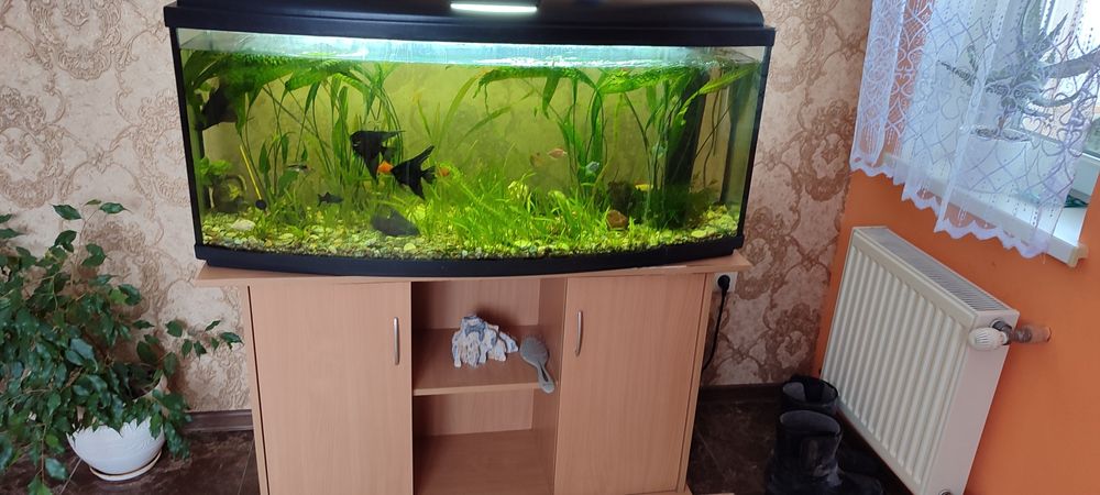 Акваріум 185л з рибками