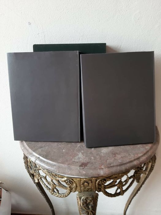 História de uma Família – AMORIM - Dois Volumes de capa dura