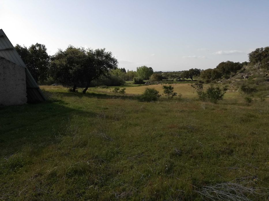 Terreno ideal para refugio de campo, Nisa