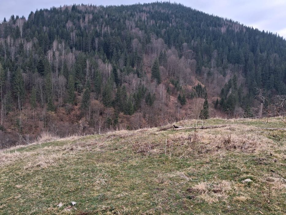 Земельна ділянка Криворівня