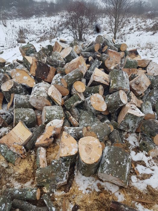 Продам Дрова Свалява Мукачево Берегово