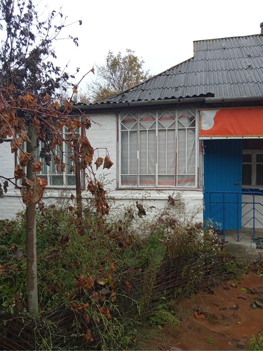 Дом в селе Лисовичи