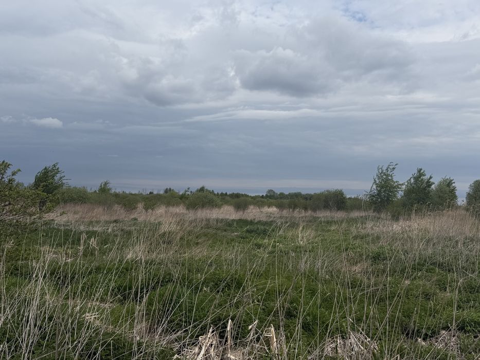 Продам землю 7 сотих Дубляни