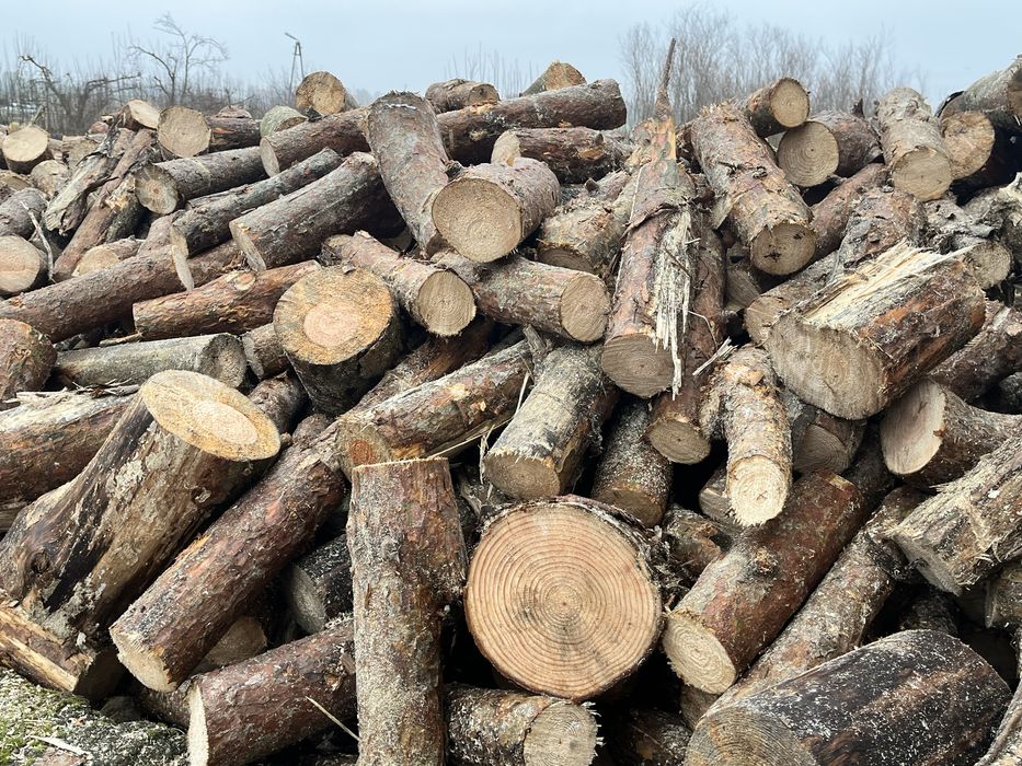 Drewno opałowe Sosna - Transport 12 metrów - Okazja