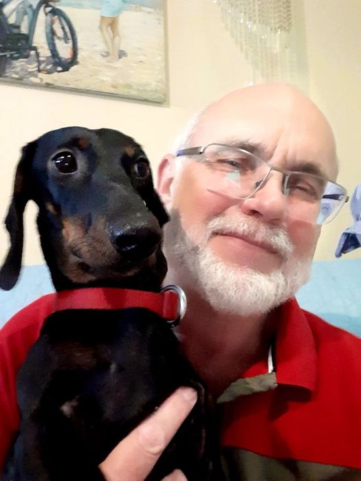 Передержка животных