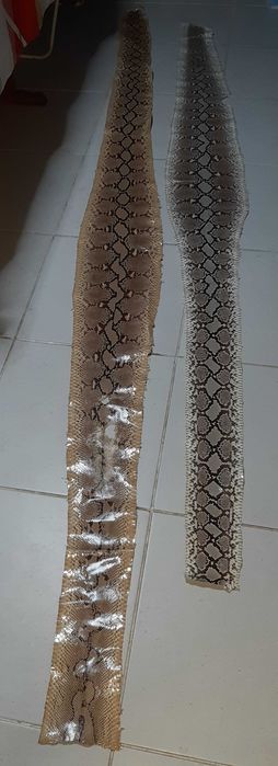 Vendo duas Peles de Cobra