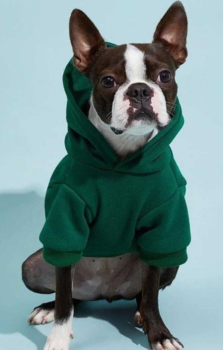 Bluza dla psa rozmiar L  z kapturem