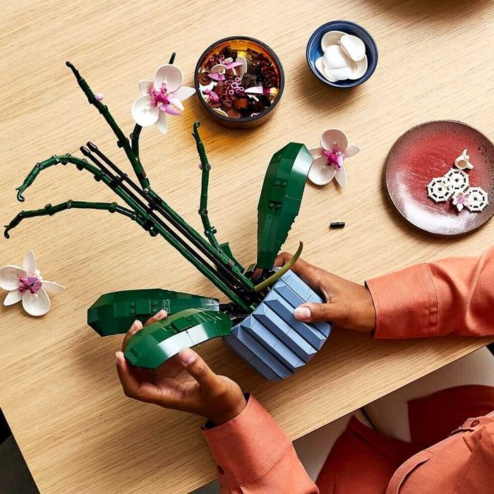 LEGO Botanicals 10311 Orchidea do Samodzielnego Złożenia dla dorosłych