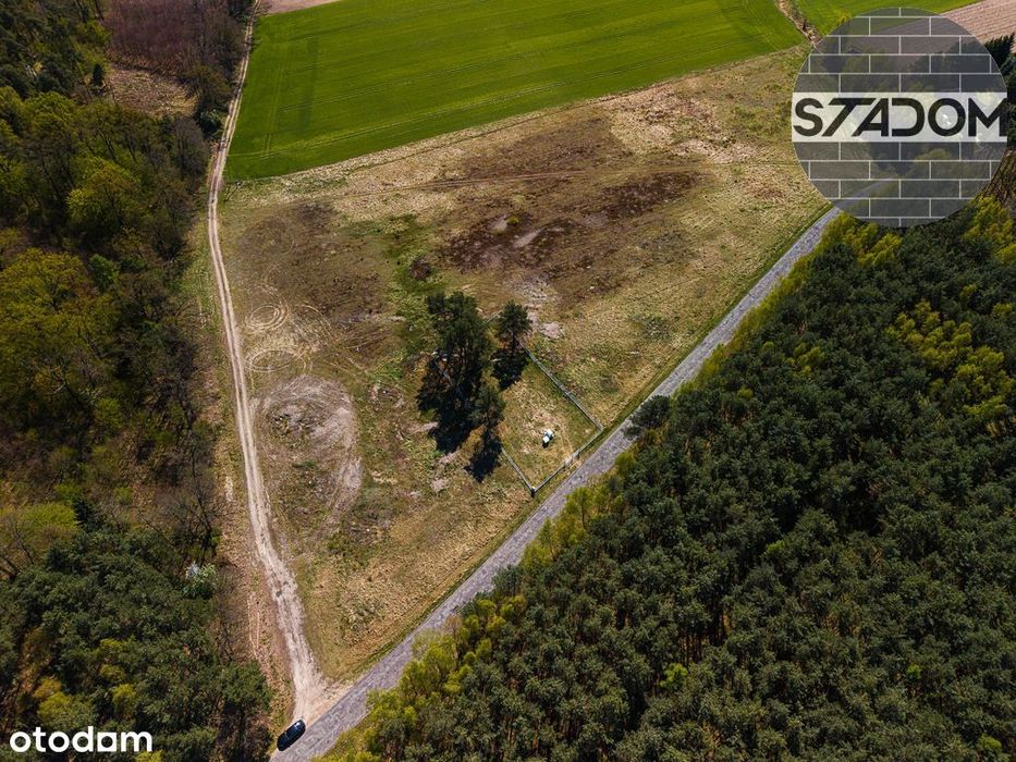 Działka Na Sprzedaż – Załęcze, Gm. Rawicz - Widok 3