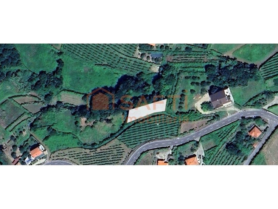 Terreno de cultivo