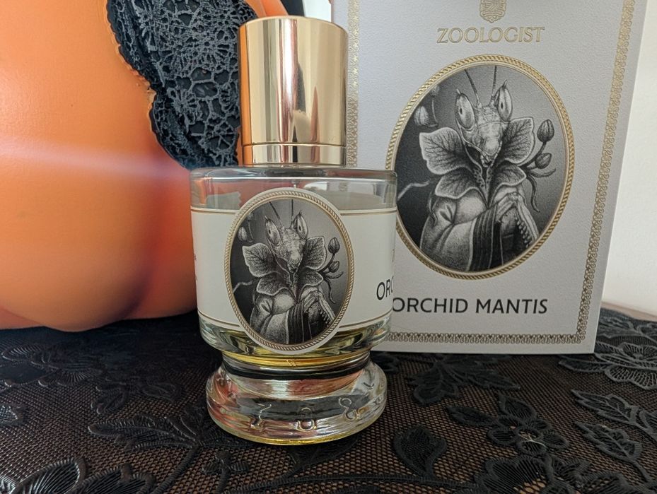 Zoologist Orchid Mantis