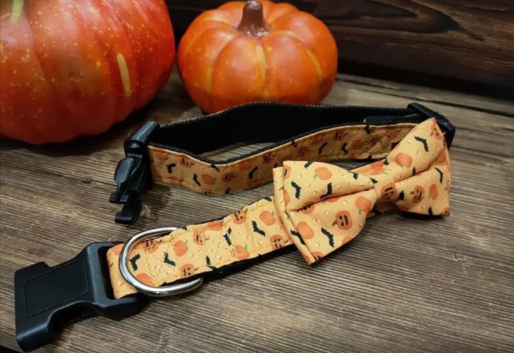 Coleira cão Halloween