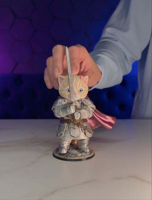 Котик-лицар/Knight cat + бонус для військових