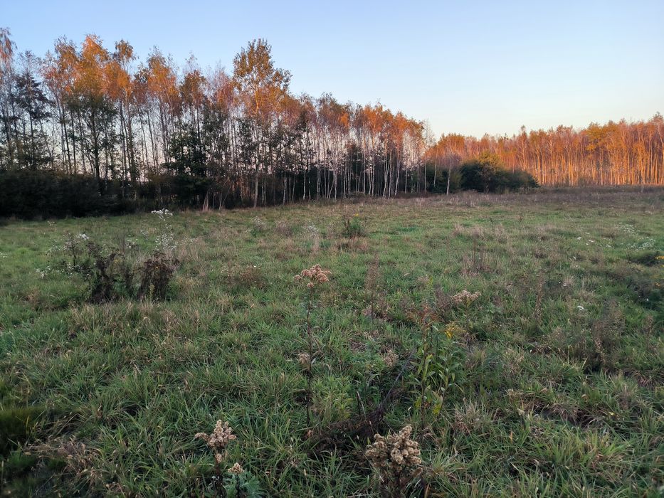 Działki pod budowę