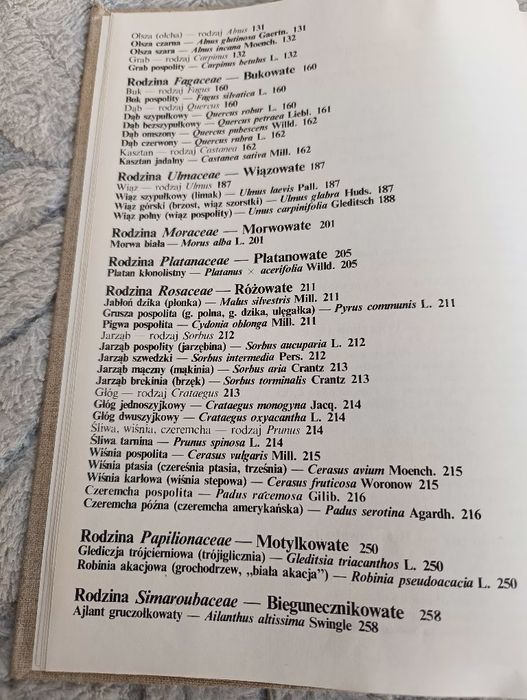 Nasze drzewa - książka o różnych gat.drzew w Polsce