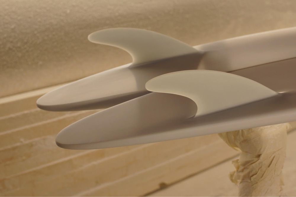 Fish Hull Fantastic Acic