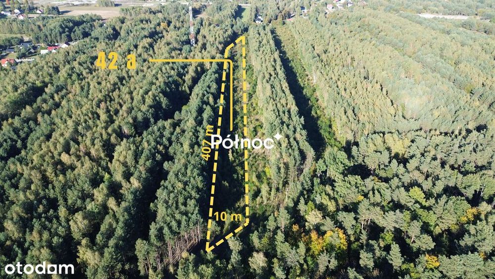 Działka / 42 a / Bogoria