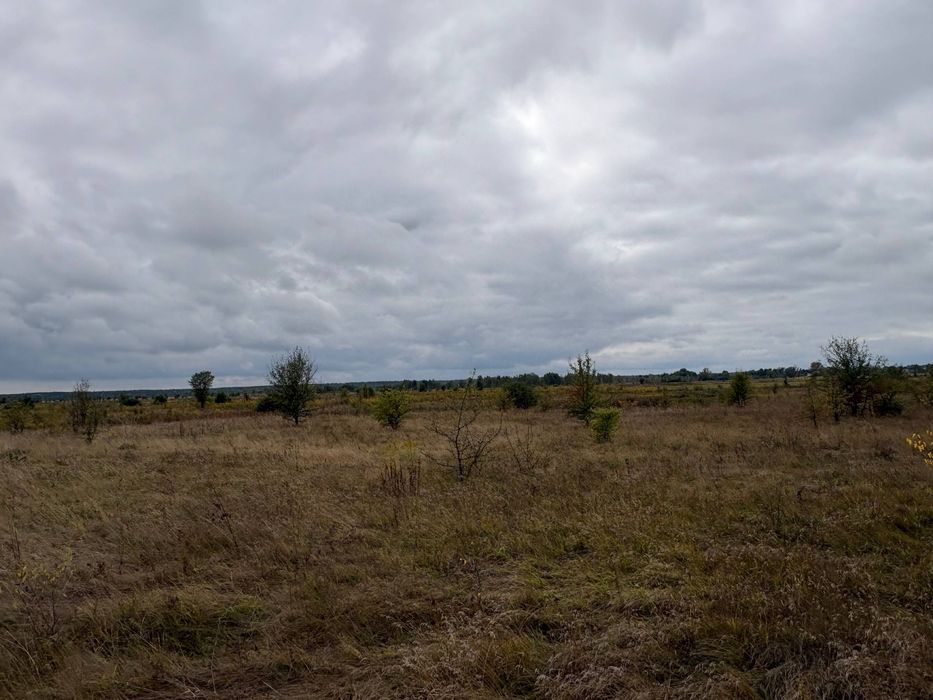 Продам 99 соток у селі Нижня Дубечня Вишгородського району