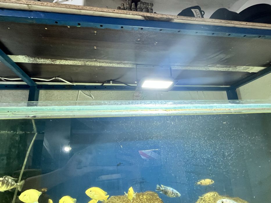 Акваріум Стойка на 4 акваріума по 250 л