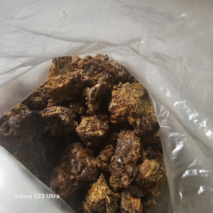 Kit pszczeli# propolis 130gram