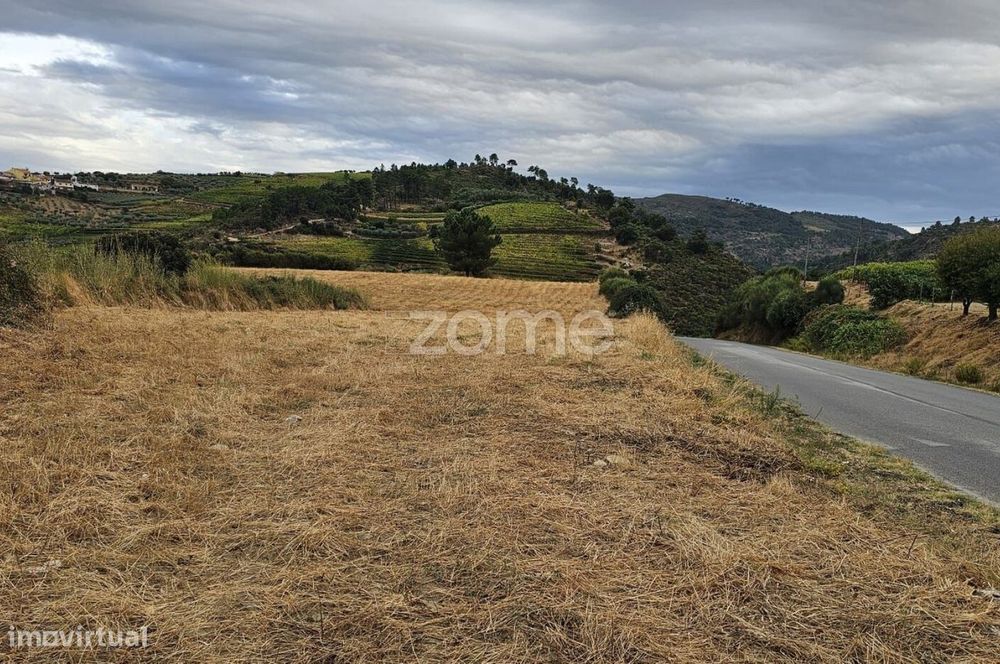 Terreno rústico , Murça