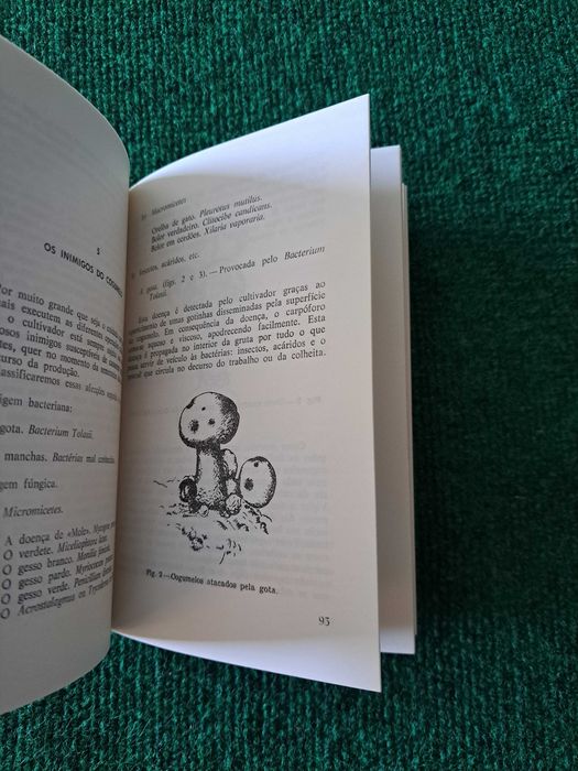 Cultivo de Cogumelos e Trufas - Alejo Rigau