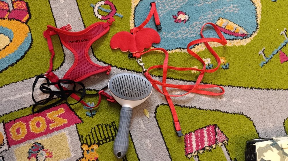 Шлея поводок шлея