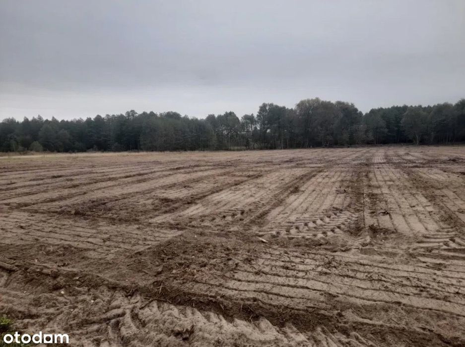Działka budowlana 1000 m² pod miastem - Widok 3