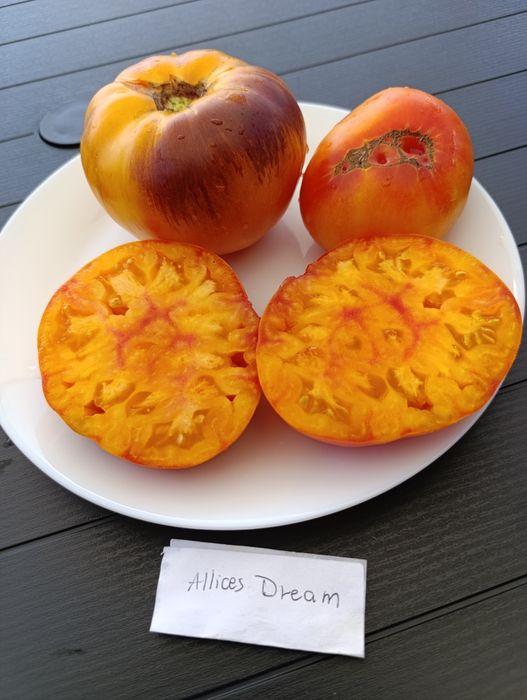 Nasiona pomidora kolekcjonerskie