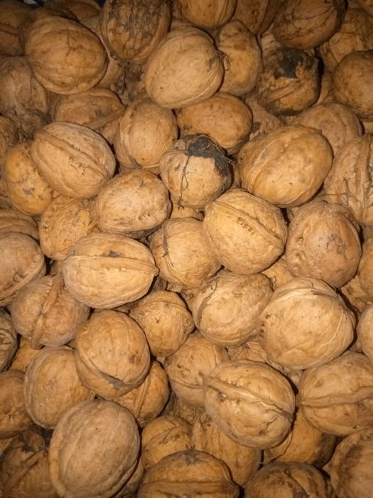 Горіх грецький,горіх волоський чищенні 2025 року