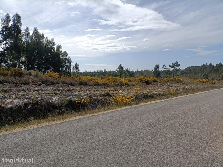 Terreno Serra do Bouro-Caldas da Rainha