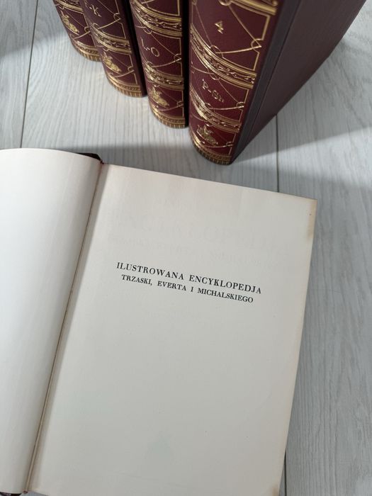 Ilustrowana Encyklopedia Trzaski, Everta i Michalskiego