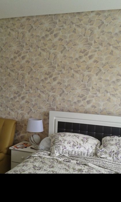 Aplicador de papel de parede  e vinilicos