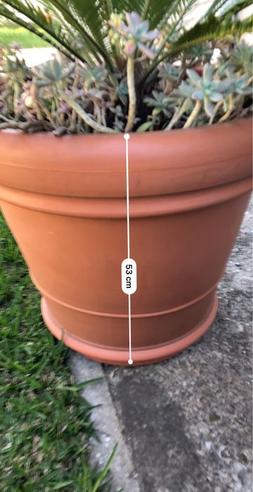Vendo Vasos de jardim