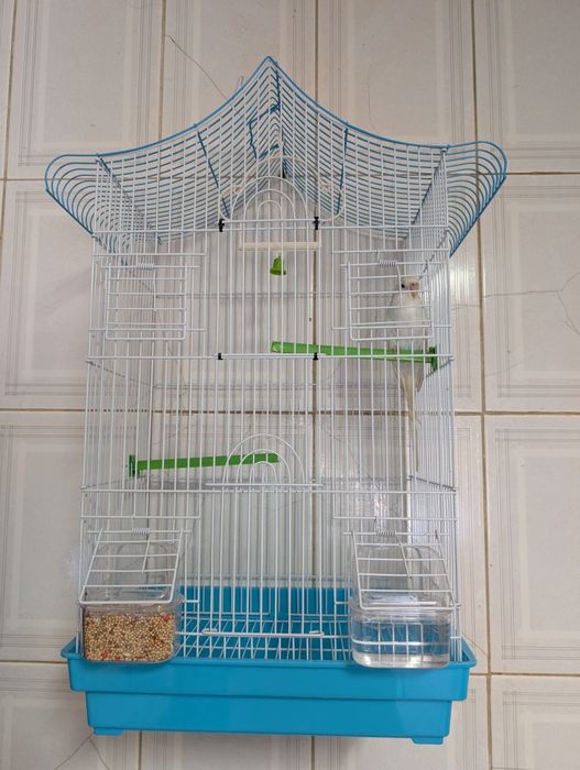 Gaiolas Novas- acessórios incluídos