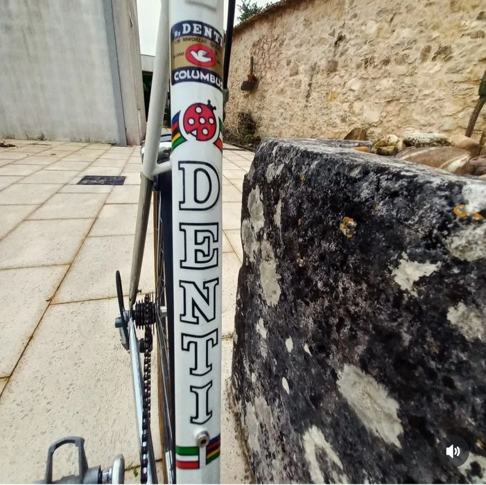 Bicicleta Mino Denti "A Joaninha "