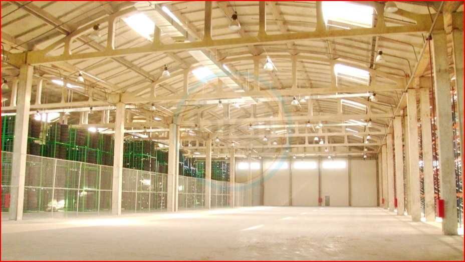 15 000 м2 склад клас "В" Бровари. Готова будівля з власним офісом.