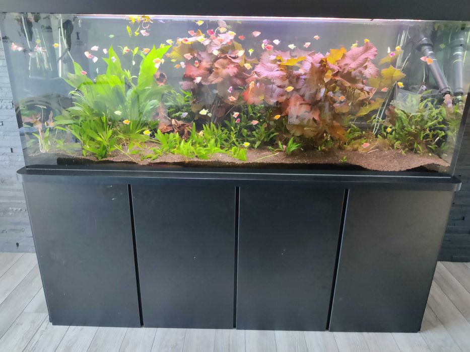 Akwarium kompletne 840L (akwarium, ryby, szafka, pokrywa led, filtry)